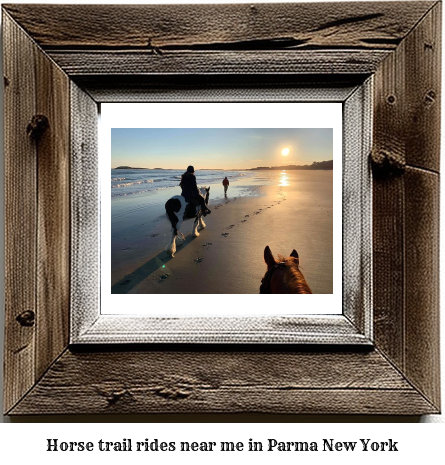 horse trail rides near me in Parma, New York